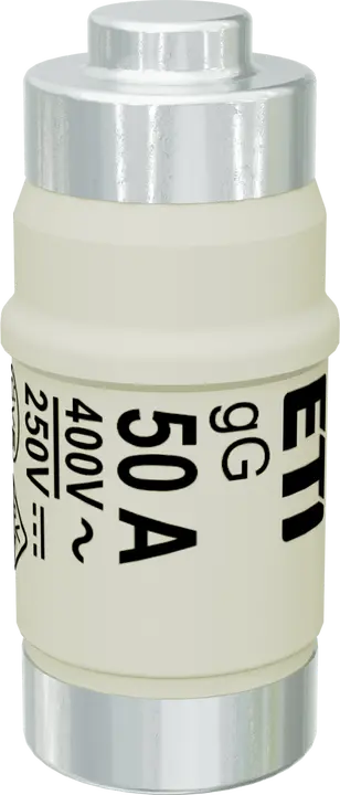 Image of D02 gG 50A/400V