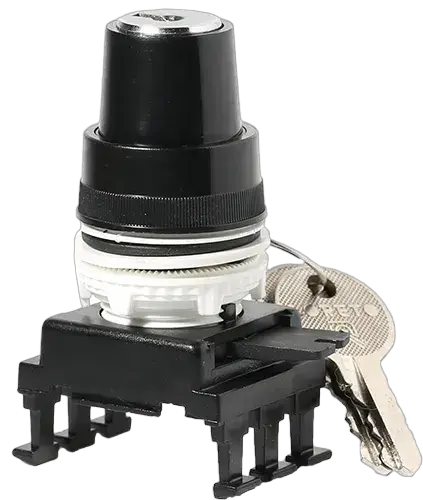 Image of *HJ85C3