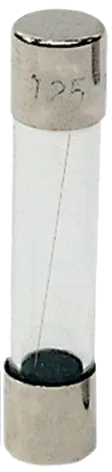 *Mini fuse 6,3x32 T 100mA/250V