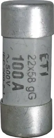 Image of CH22x58/P gG 32A/690V